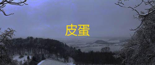 暗区突围国际服科技辅助皮蛋